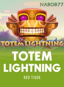 Totem Lightning icon